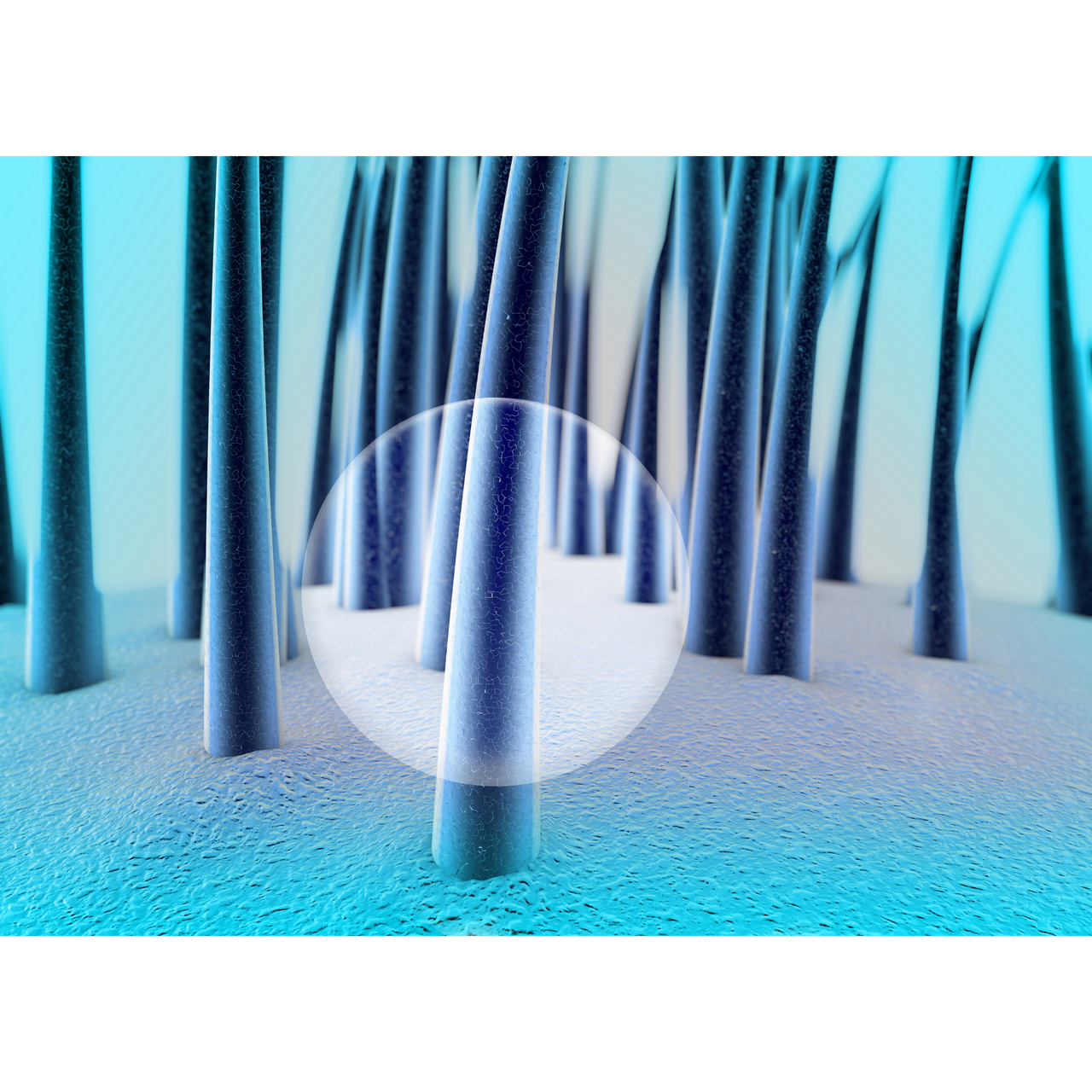 InLei® Lash Filler - How to Time the Chemical Reaction for Optimal Res ...
