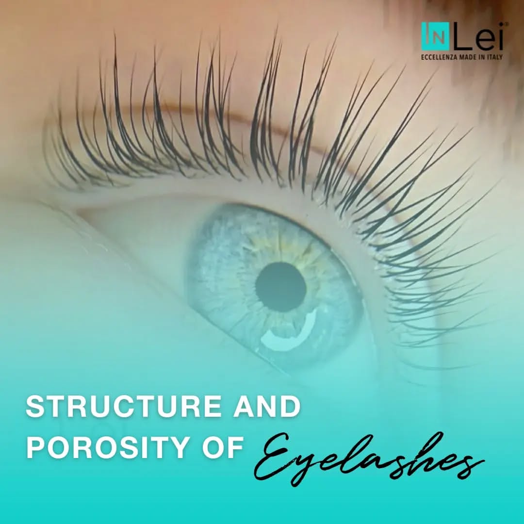 Structure and Porosity of Eyelashes: Best Practices for Lamimakers