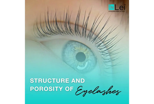 Structure and Porosity of Eyelashes: Best Practices for Lamimakers – My ...